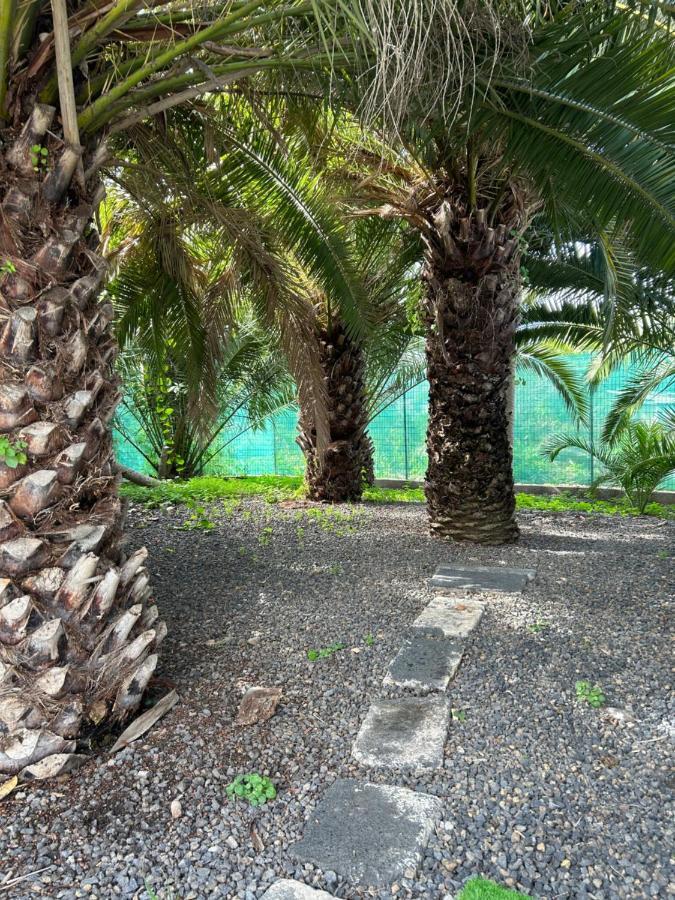 Casa Beatriz Villa La Orotava Bagian luar foto